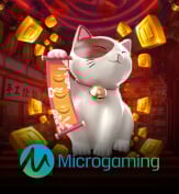 MICRO GAMING PLUS